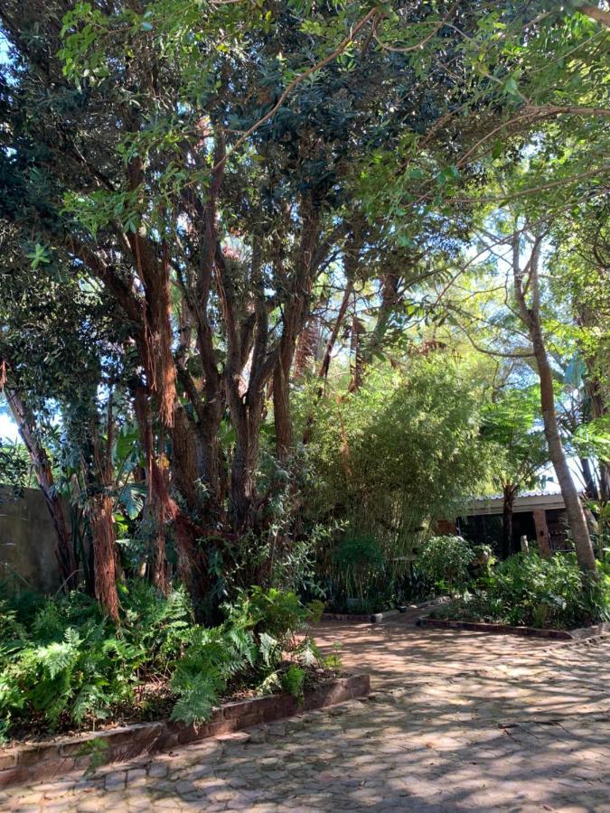 Apartmán The Secret Garden Hideaway Mossel Bay Exteriér fotografie