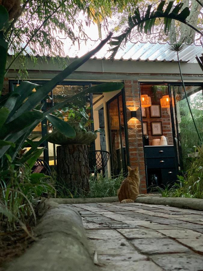 Apartmán The Secret Garden Hideaway Mossel Bay Exteriér fotografie